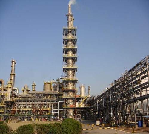 走近零碳 上海化工區(qū)調(diào)研 企業(yè)減排看效益,園區(qū)須加強統(tǒng)籌